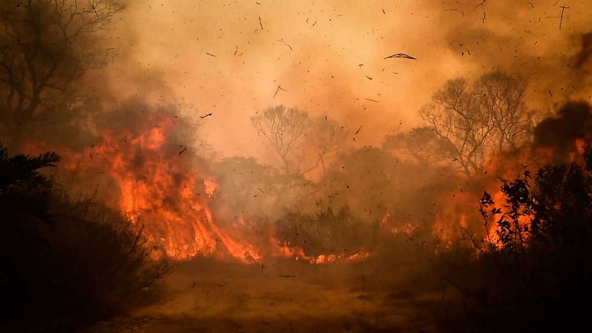 Obrazy nedozírné zkázy: Obří požár mění největší mokřad světa v hořící vězení